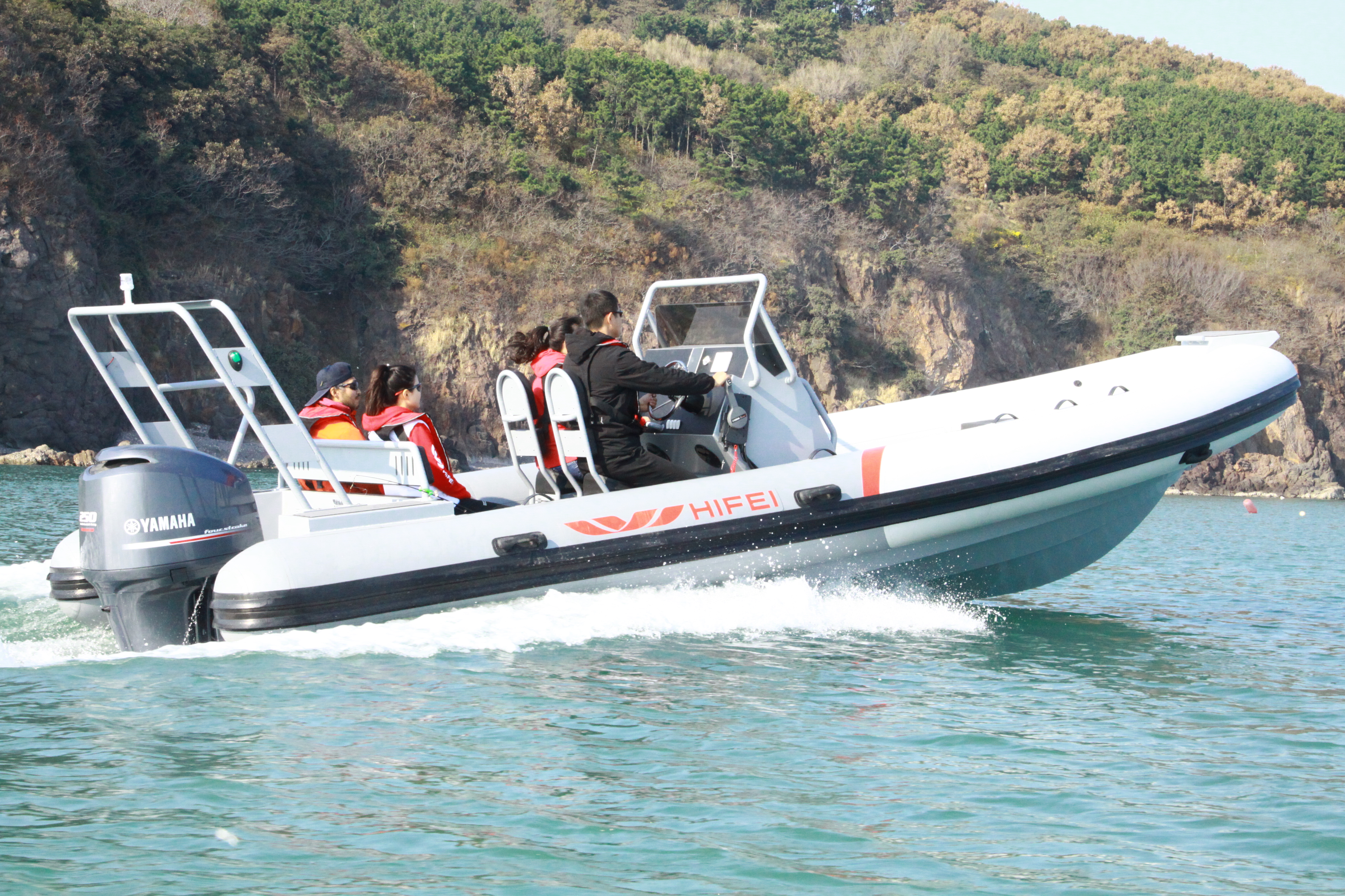 Dolphin(L) Series